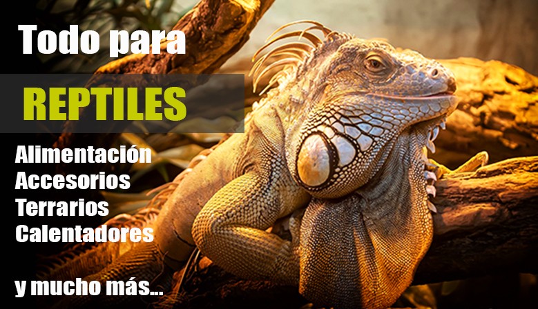 Reptiles